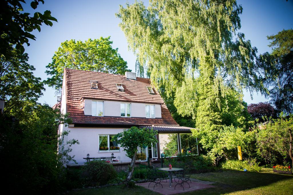 Hostel Hostelino
