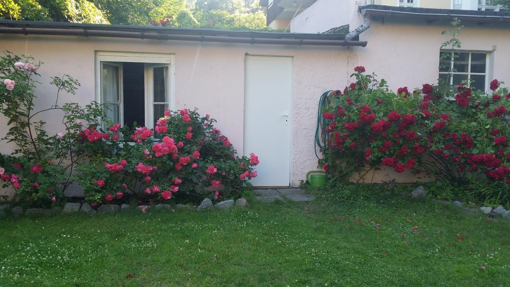 Hostel Hostelino